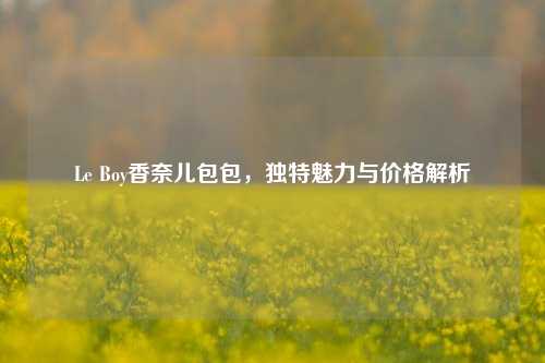 Le Boy香奈儿包包,独特魅力与价格解析