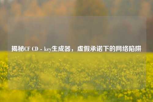 揭秘CF CD - key生成器,虚假承诺下的网络陷阱