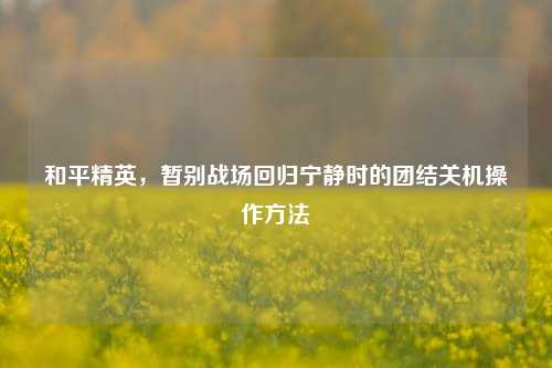 和平精英,暂别战场回归宁静时的团结关机操作方法