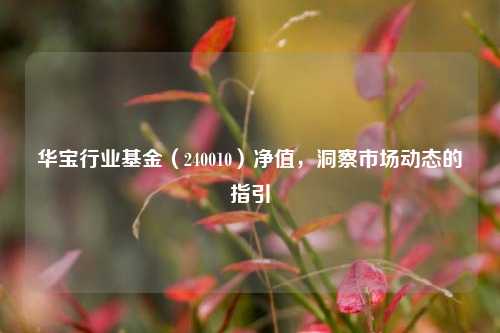 华宝行业基金(240010)净值,洞察市场动态的指引
