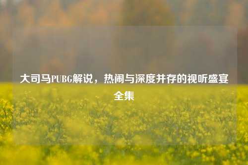 大司马PUBG解说,热闹与深度并存的视听盛宴全集