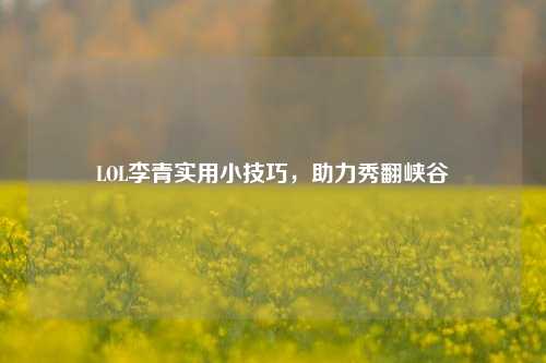 LOL李青实用小技巧,助力秀翻峡谷