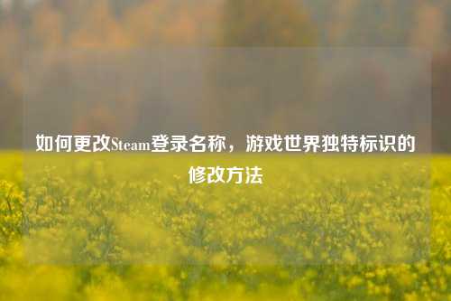 如何更改Steam登录名称,游戏世界独特标识的修改方法