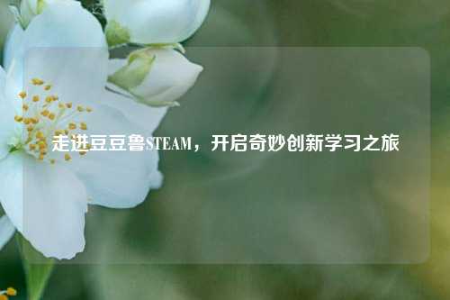 走进豆豆鲁STEAM，开启奇妙创新学习之旅