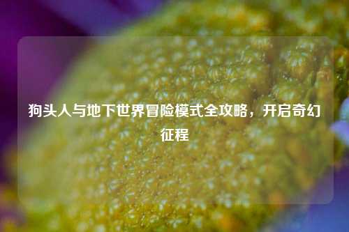 狗头人与地下世界冒险模式全攻略,开启奇幻征程