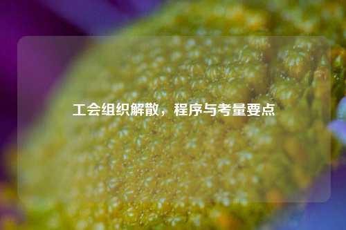 工会组织解散,程序与考量要点