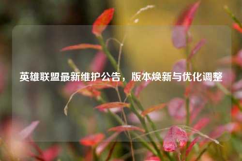 英雄联盟最新维护公告,版本焕新与优化调整