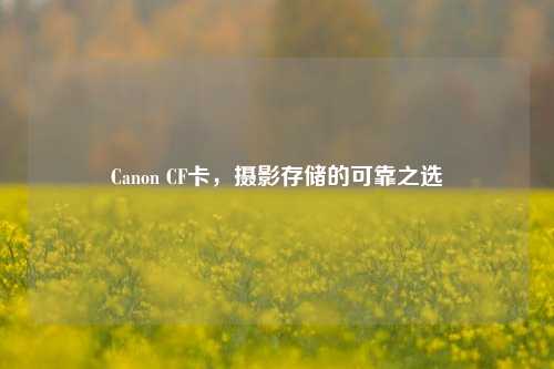 Canon CF卡,摄影存储的可靠之选