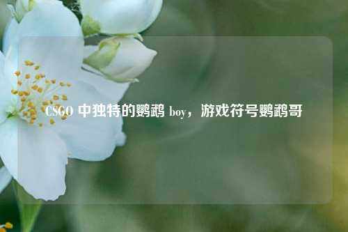 CSGO 中独特的鹦鹉 boy,游戏符号鹦鹉哥