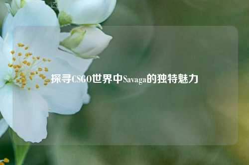 探寻CSGO世界中Savaga的独特魅力