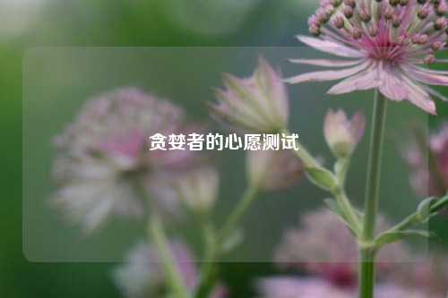 贪婪者的心愿测试