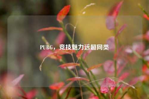 PUBG,竞技魅力远超同类