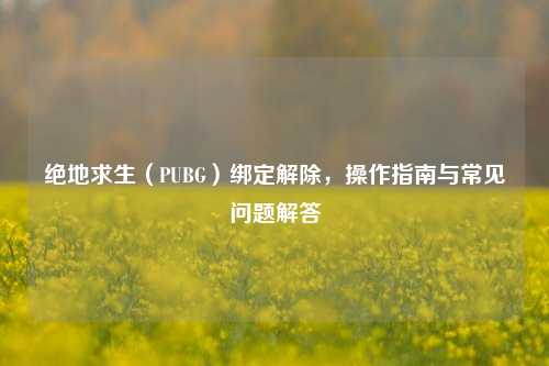 绝地求生（PUBG）绑定解除，操作指南与常见问题解答