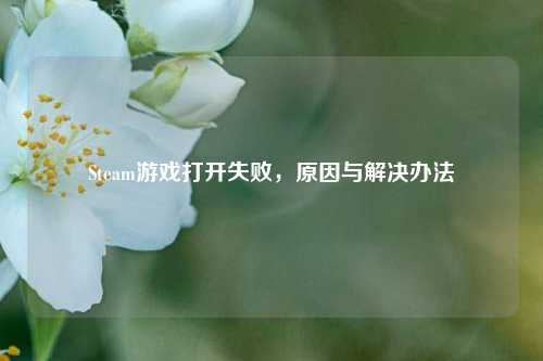 Steam游戏打开失败，原因与解决办法