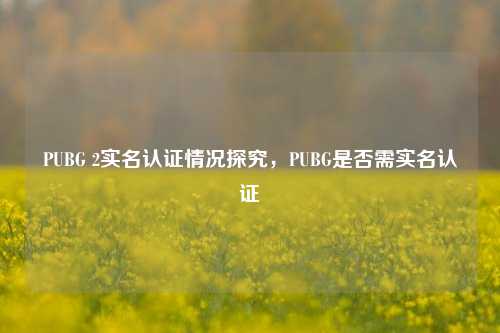 PUBG 2实名认证情况探究,PUBG是否需实名认证