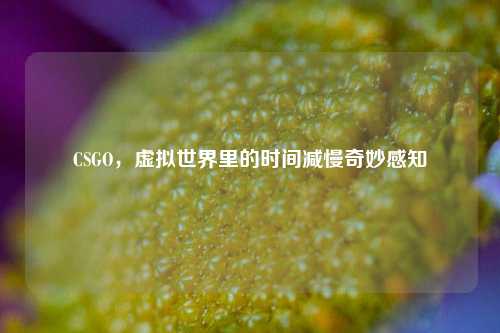 CSGO,虚拟世界里的时间减慢奇妙感知