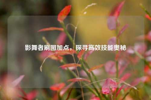 影舞者刷图加点,探寻高效技能奥秘