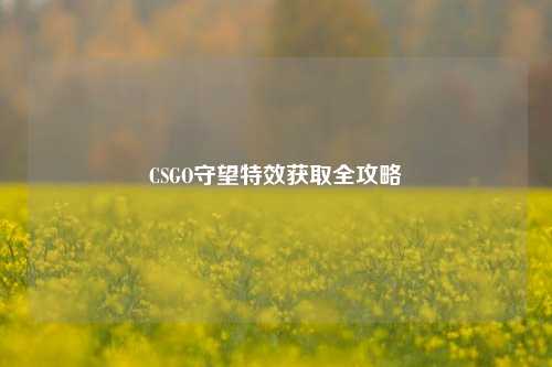 CSGO守望特效获取全攻略