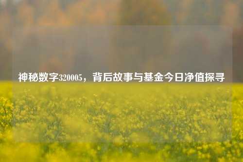 神秘数字320005,背后故事与基金今日净值探寻