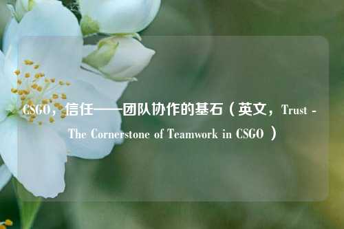 CSGO,信任——团队协作的基石(英文,Trust - The Cornerstone of Teamwork in CSGO )