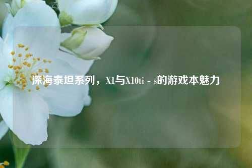 深海泰坦系列,X1与X10ti - s的游戏本魅力