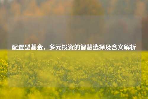配置型基金,多元投资的智慧选择及含义解析