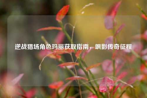 逆战猎场角色玛丽获取指南,飒影传奇征程