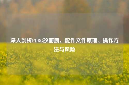 深入剖析PUBG改画质,配件文件原理、操作方法与风险