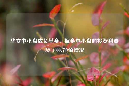 华安中小盘成长基金,掘金中小盘的投资利器及040007净值情况