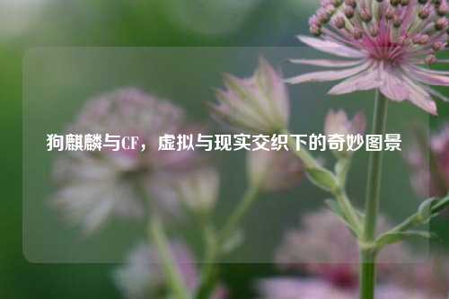 狗麒麟与CF,虚拟与现实交织下的奇妙图景