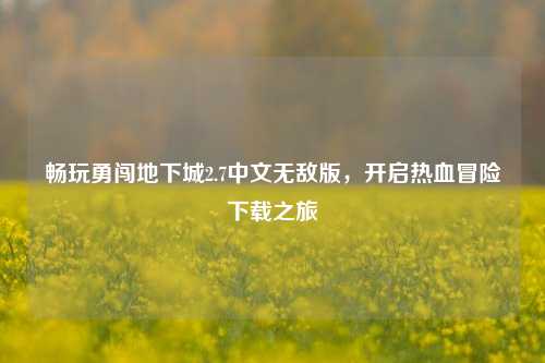 畅玩勇闯地下城2.7中文无敌版,开启热血冒险下载之旅
