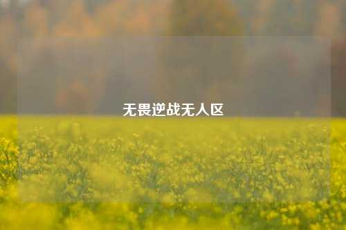 无畏逆战无人区