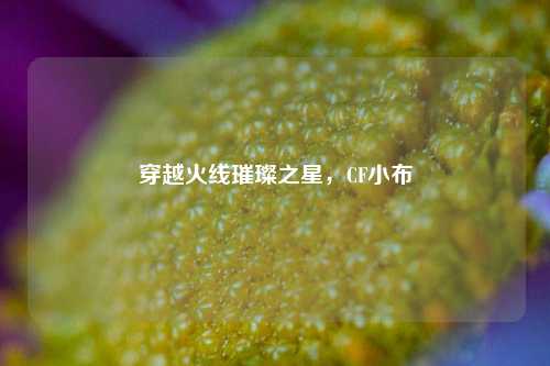 穿越火线璀璨之星,CF小布