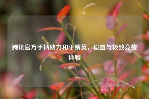 腾讯官方手柄助力和平精英,设置与极致竞技体验