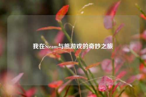 我在Steam与熊游戏的奇妙之旅