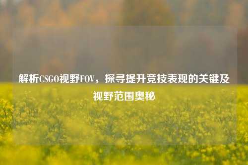 解析CSGO视野FOV,探寻提升竞技表现的关键及视野范围奥秘