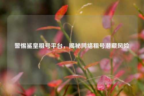 警惕鲨皇租号平台，揭秘网络租号潜藏风险