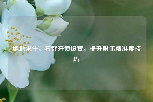 绝地求生,右键开镜设置,提升射击精准度技巧