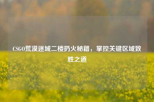 CSGO荒漠迷城二楼扔火秘籍,掌控关键区域致胜之道