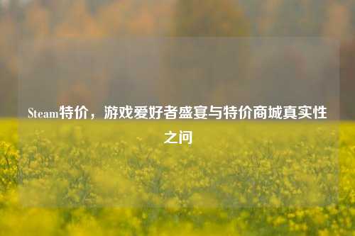 Steam特价,游戏爱好者盛宴与特价商城真实性之问