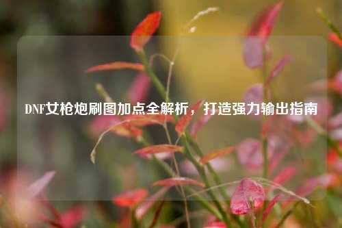 DNF女枪炮刷图加点全解析,打造强力输出指南