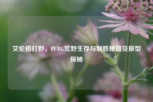 艾伦格打野,PUBG荒野生存与制胜秘籍及原型探秘