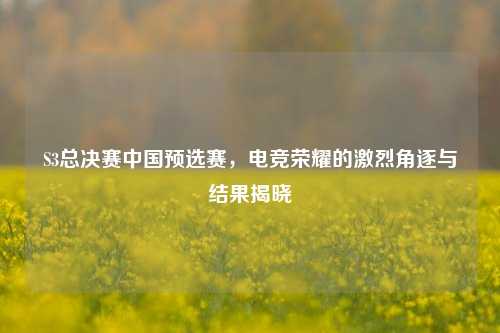 S3总决赛中国预选赛，电竞荣耀的激烈角逐与结果揭晓