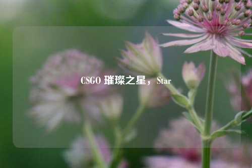 CSGO 璀璨之星，Star