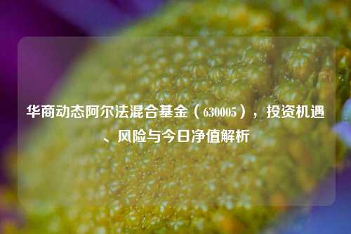 华商动态阿尔法混合基金(630005),投资机遇、风险与今日净值解析