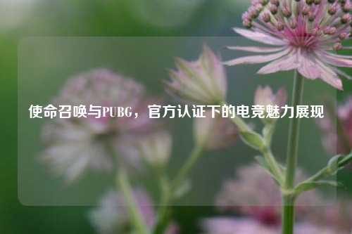 使命召唤与PUBG,官方认证下的电竞魅力展现