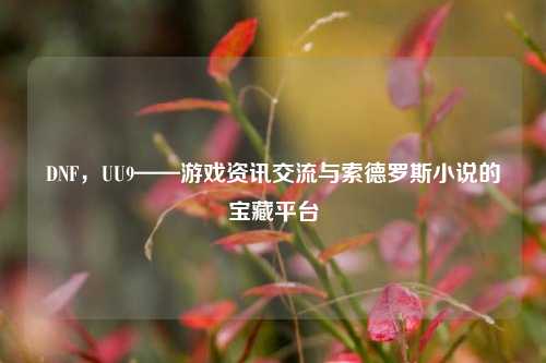 DNF,UU9——游戏资讯交流与索德罗斯小说的宝藏平台