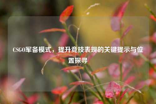 CSGO军备模式，提升竞技表现的关键提示与位置探寻