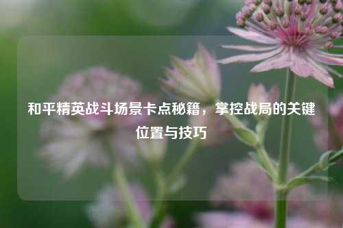 和平精英战斗场景卡点秘籍,掌控战局的关键位置与技巧