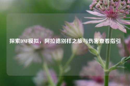 探索DNF模拟,阿拉德别样之旅与伤害查看指引